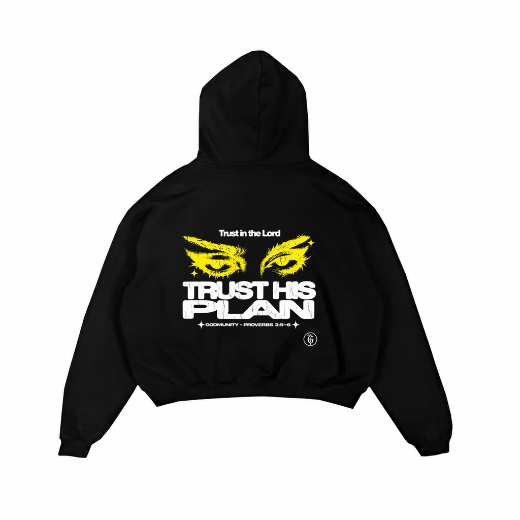 "Trust His Plan" - Hoodie